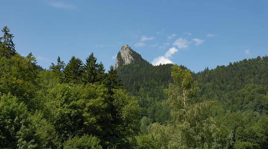 Ferienwohnungen Feichthof Kreuth - Ihr Urlaubsdomizil zu jeder Jahreszeit