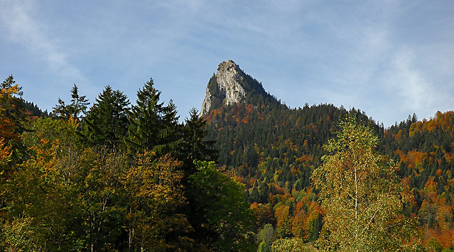 Die wunderschöne Umgebung genießen - Ferienwohnungen Feichthof Kreuth