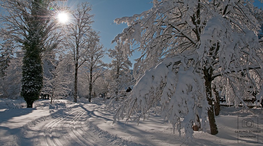 Ferienwohnungen Feichthof