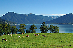 Anreise zum Feichthof in Kreuth im Tegernseer Tal